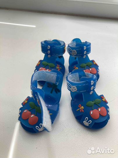 Сланцы для мини собачки