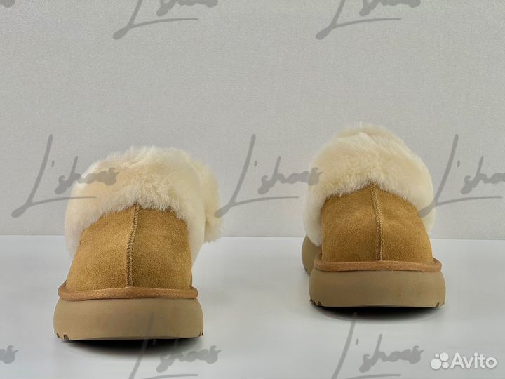 Угги женские Ugg