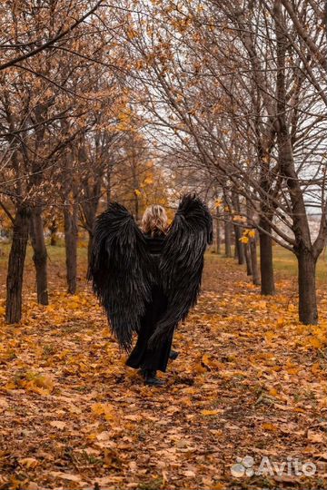 Крылья ангела черные