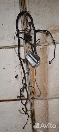 Эбу мозги на газель 4216