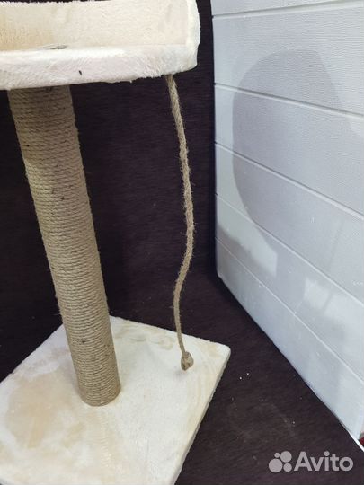 Когтеточка