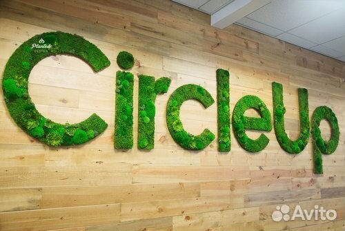 Название компании из мха ягеля