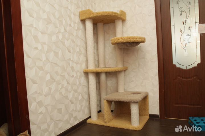 Когтеточка домик для кошки