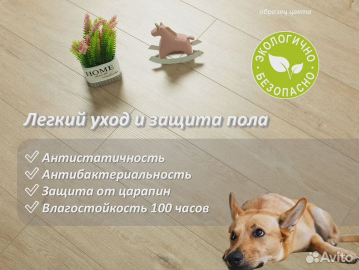 Ламинат дуб с фаской