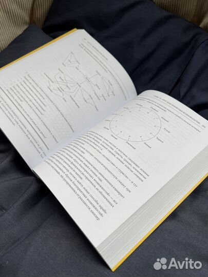 Рисовый штурм книга