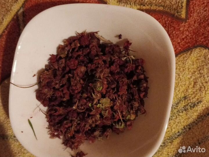 Кучка верхушек от земляники