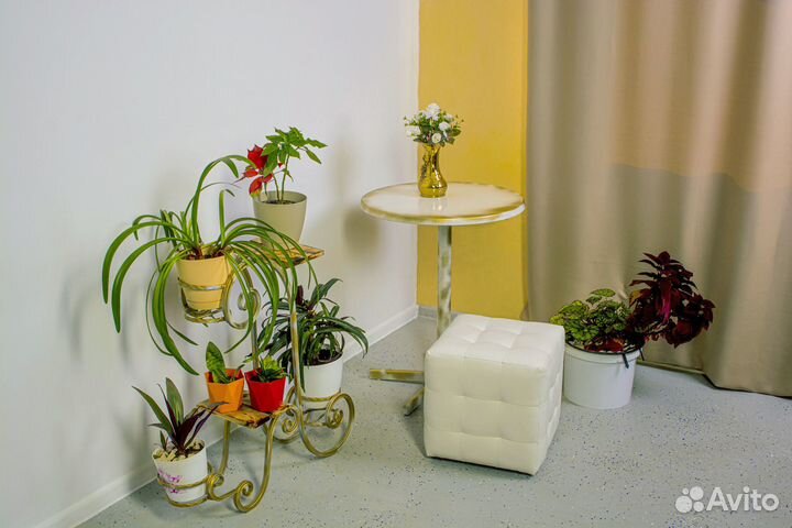 Фотостудия