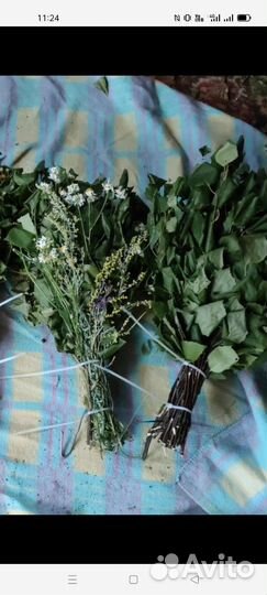 Веники для бани. Березовые, пихтовые