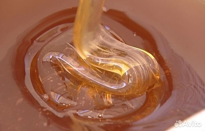 Мёд натуральный из Алтая опт минимально 16 кг