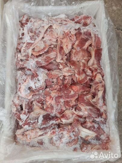 Продам мясо свинина