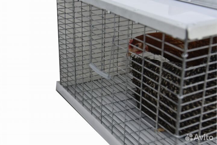 Клетка-переноска для птицы
