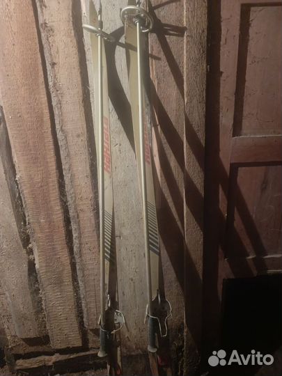 Лыжные палки