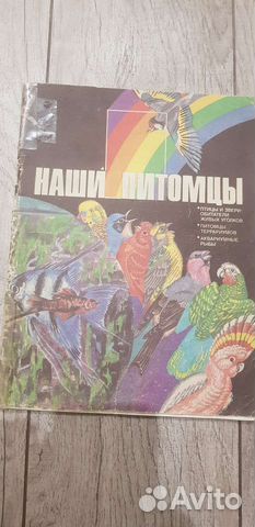 Наши питомцы