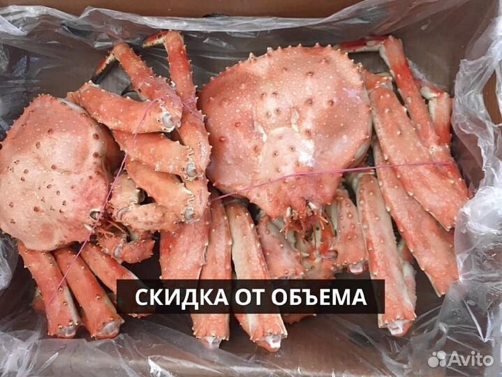 Краб Камчатский