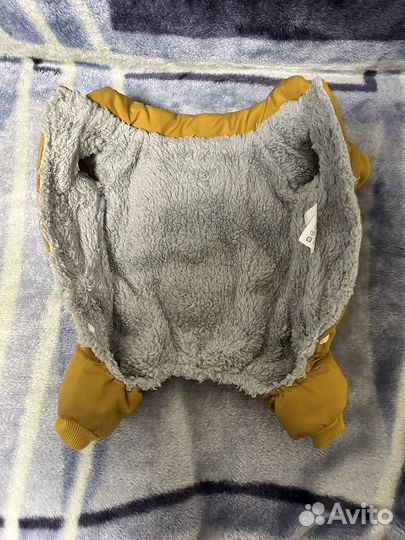 Комбинезон для маленькой собаки s