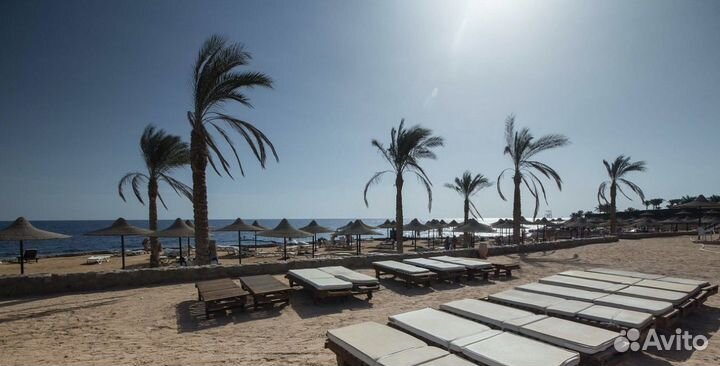 Горящий тур в Египет