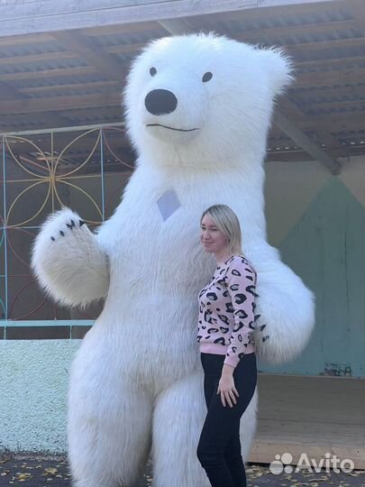 Белый мишка поздравление