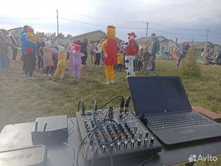 Диджей на праздник