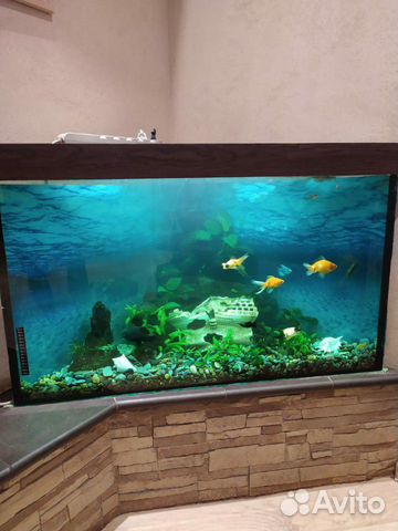 Установка, чистка, обслуживание пресноводных аквар