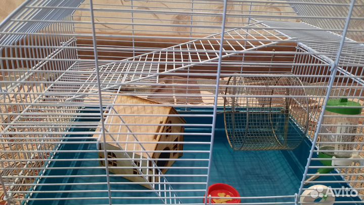 Клетка для сирийского хомяка