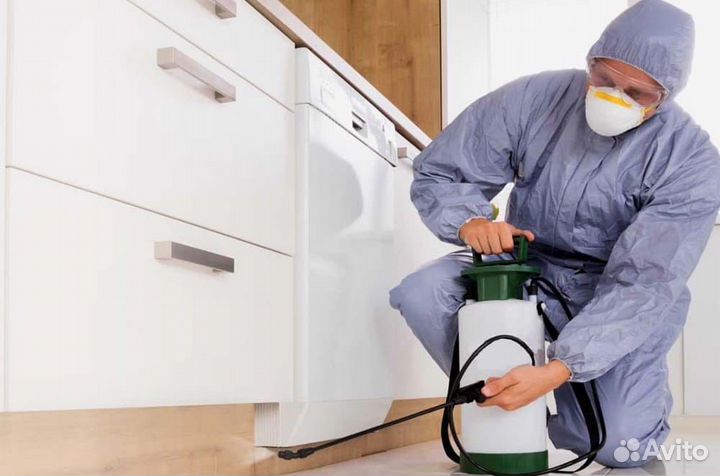 Уничтожение тараканов клопов и насекомых