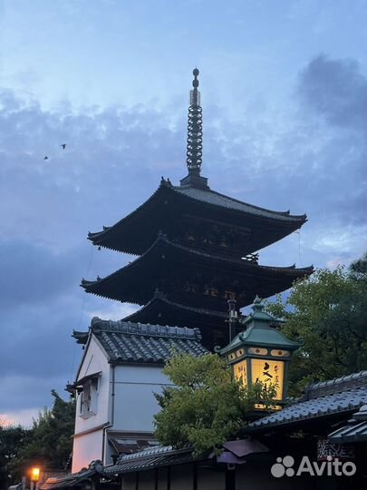 SMM / reels maker / community manager