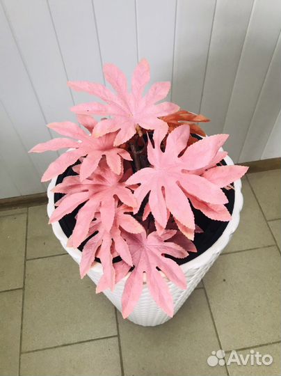 Искусственные растения в горшках