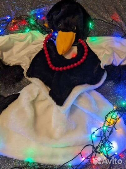 Костюм Сорока-Белобока и Черный Ворон напрокат