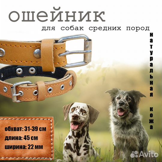 Графический дизайнер