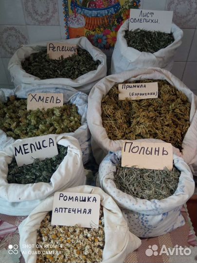 Лекарственные травы, сушёные