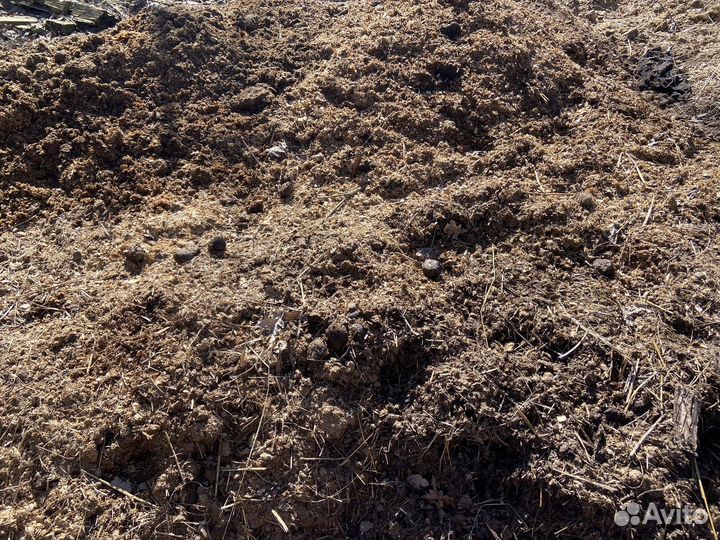 Конский навоз