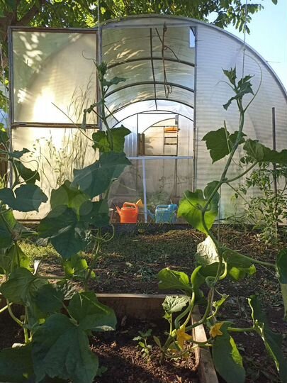 Дом 58 м² на участке 4 сот.