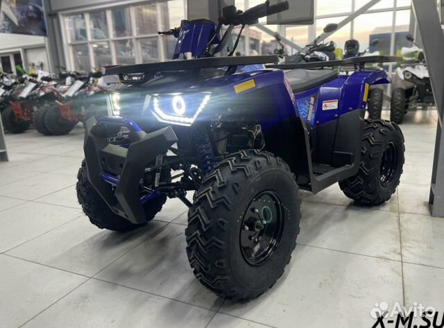 Квадроцикл promax wild 300