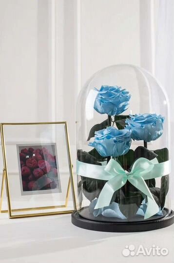 Живая роза в колбе