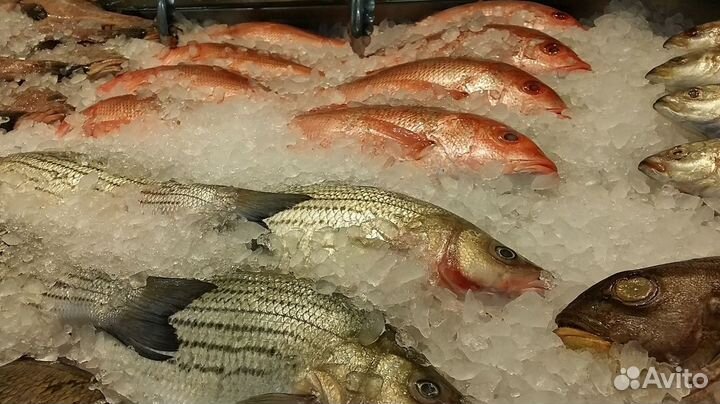 Продажа рыбного магазина с прибылью