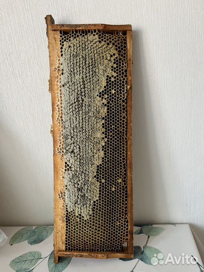 Натуральный майский мёд в сотах