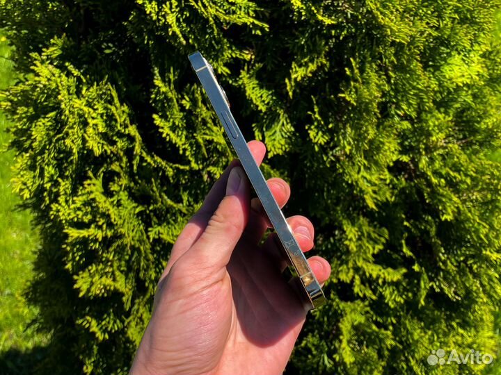 iPhone 12 Pro Max, 256 ГБ