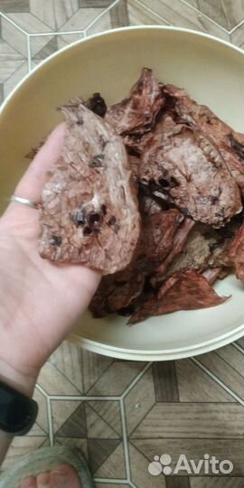 Лакомства для собак