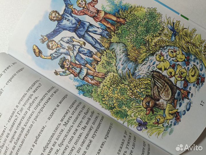 Лисичкин хлеб/Лесные истории/Детки в клетке