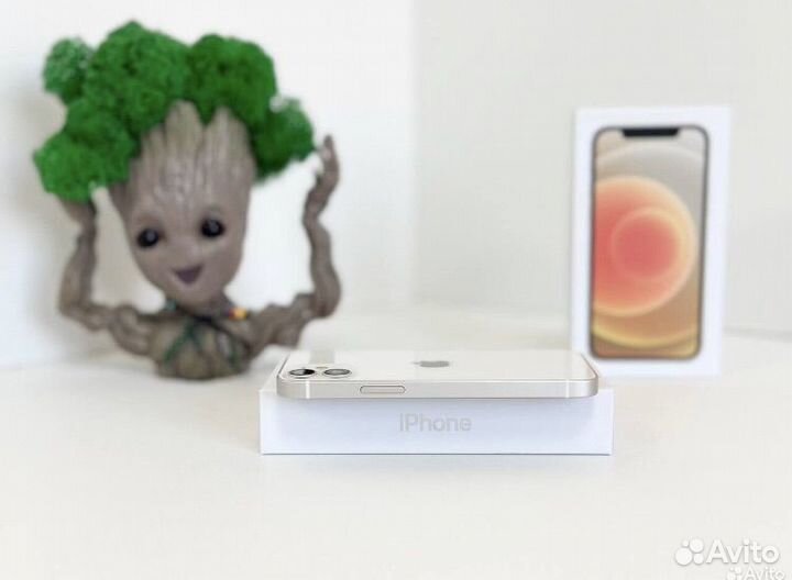 iPhone 12, 256 ГБ