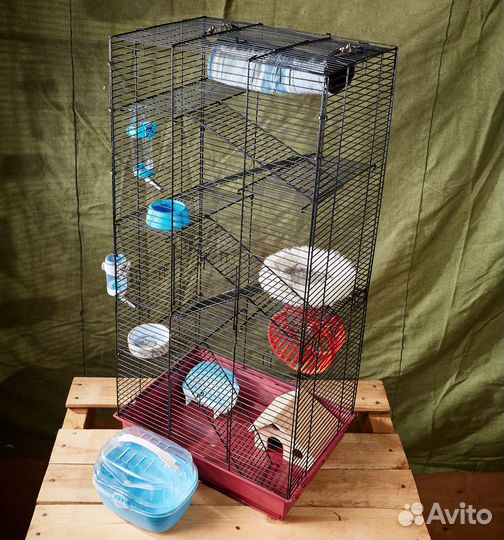 Большая клетка для грызунов крыс дегу хомяков