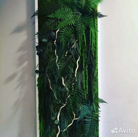 Фитокартина картина со мхом