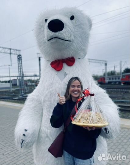 Поздравление от мишки/Ростовые куклы Пенза