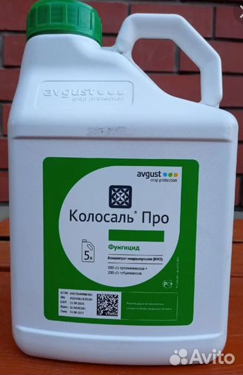 Колосаль при титул дуо страйк форте Гранберг Про