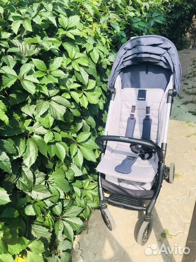 Inglesina quid или Oyster zero в прокат