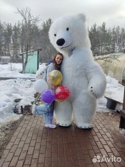 Поздравление от Белого мишки Пломбира