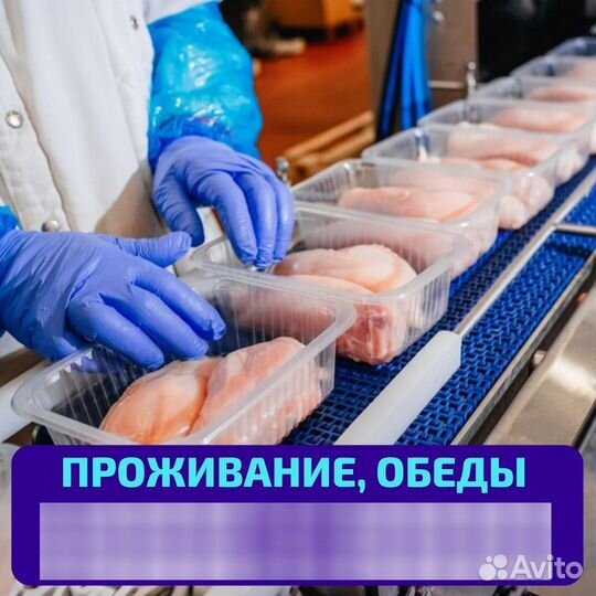 Упаковщик вахта с питанием, выезд бесплатный