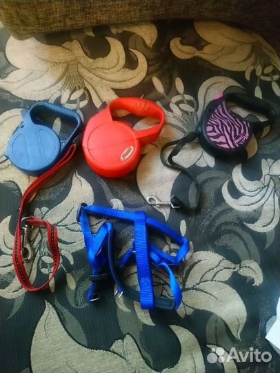 Рулетки, поводок, намордник для собак