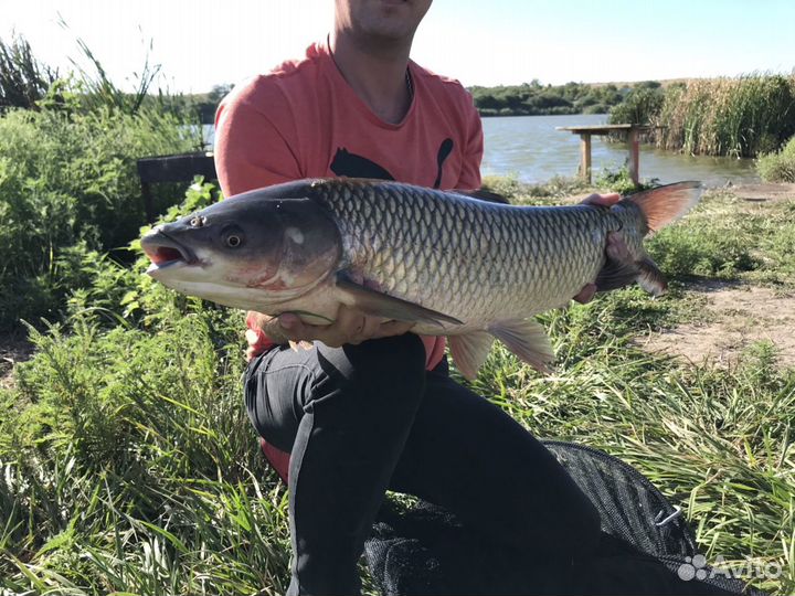 Отдых от городской суеты Беседки мангалы