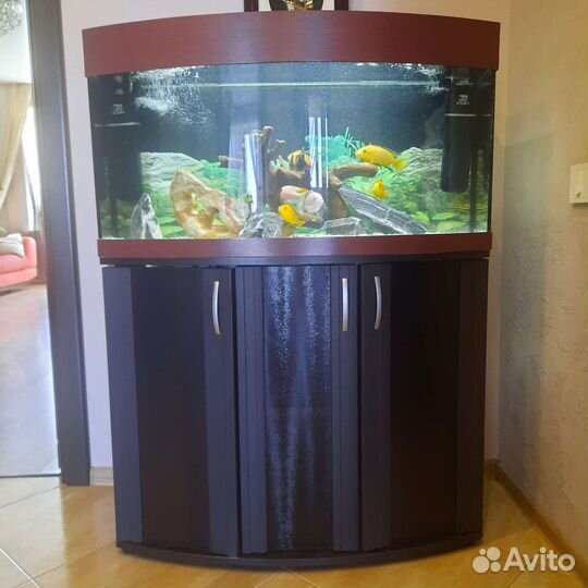 Аквариум с рыбками